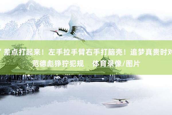 ”差点打起来!左手拉手臂右手打脑壳!追梦真贵时对范德彪狰狞犯规 体育录像/图片
